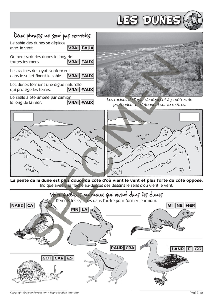 Classes_de_mer_2010-11.webp